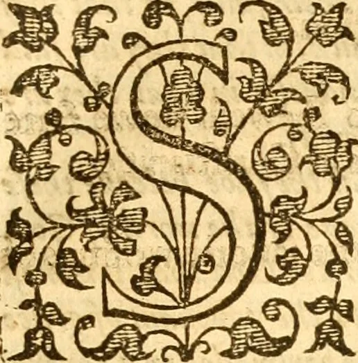 An illustration from A golden chaine: or, the description of theologie : containing the order of the causes of salvation and damnation, according to Gods word .., 1600, leaf 616