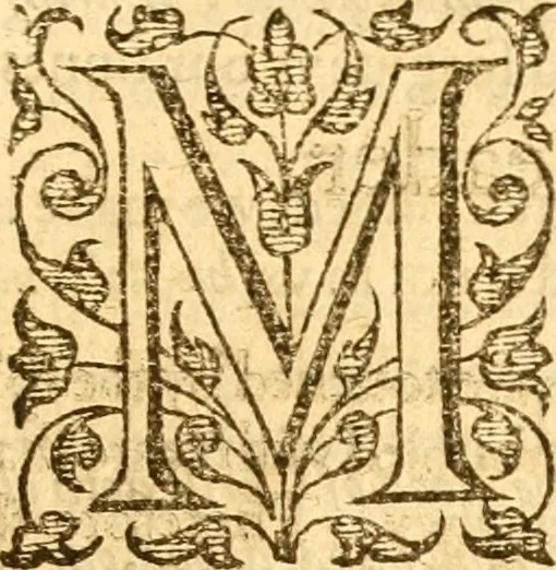 An illustration from A golden chaine: or, the description of theologie : containing the order of the causes of salvation and damnation, according to Gods word .., 1600, leaf 732