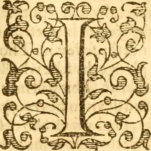An illustration from A golden chaine: or, the description of theologie : containing the order of the causes of salvation and damnation, according to Gods word .., 1600, leaf 868
