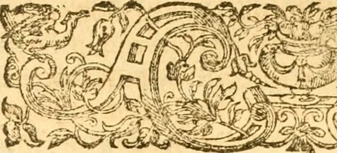 An illustration from A golden chaine: or, the description of theologie : containing the order of the causes of salvation and damnation, according to Gods word .., 1600, leaf 882