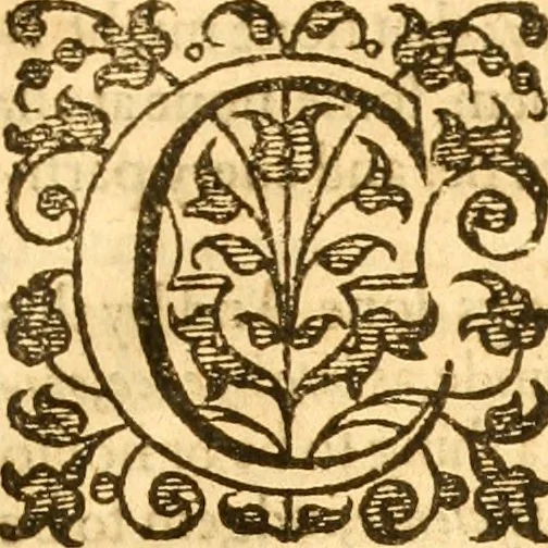 An illustration from A golden chaine: or, the description of theologie : containing the order of the causes of salvation and damnation, according to Gods word .., 1600, leaf 886