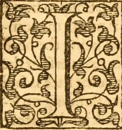 An illustration from A golden chaine: or, the description of theologie : containing the order of the causes of salvation and damnation, according to Gods word .., 1600, leaf 956