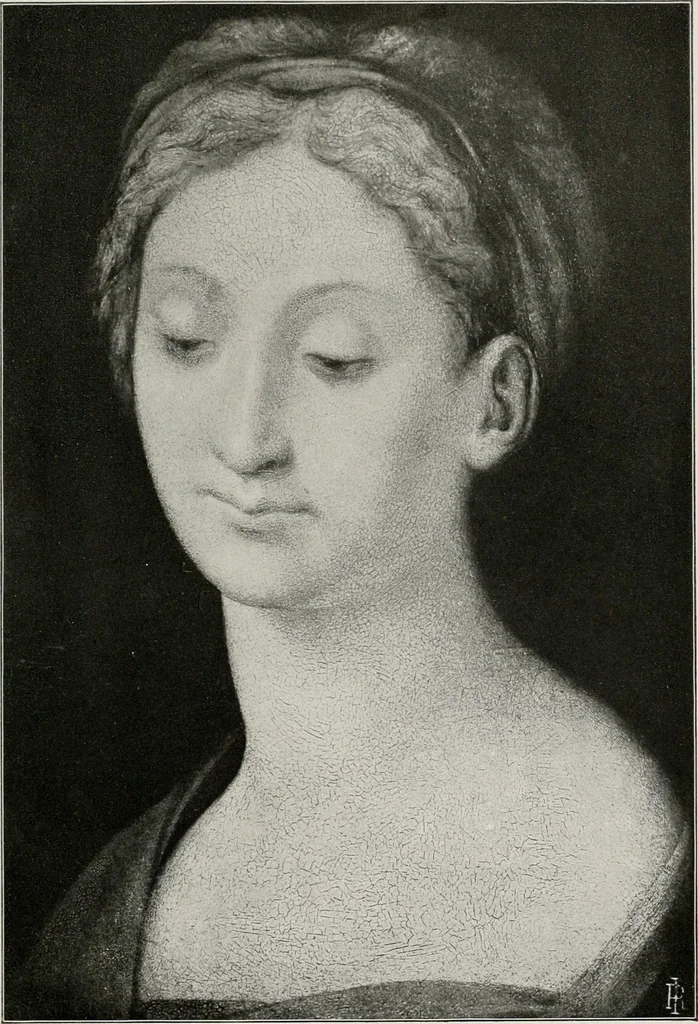 An illustration from The golden days of the renaissance in Rome, from the pontificate of Julius II to that of Paul III, 1906, leaf 248
