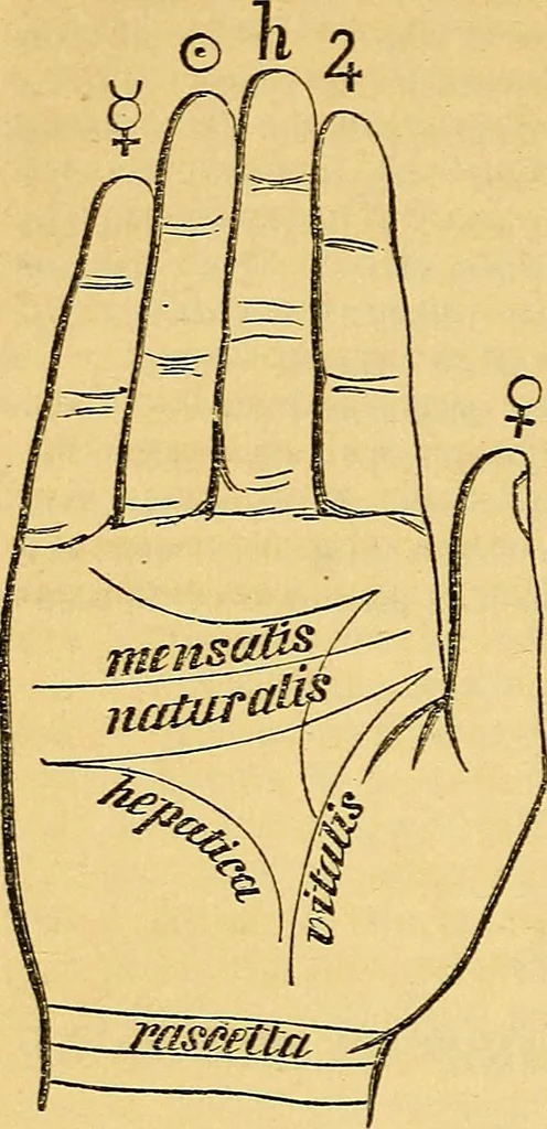 An illustration from The golden wheel dream-book and fortune-teller : being the most complete work on fortune-telling and interpreting dreams ever printed, containing an alphabetical list of dreams, with their interpretation, and the lucky numbers they signify; also explaining how to tell fortunes by the mysterious golden wheel..., 1862, leaf 119