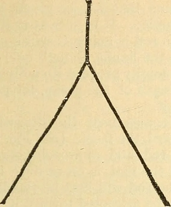 An illustration from The golden wheel dream-book and fortune-teller : being the most complete work on fortune-telling and interpreting dreams ever printed, containing an alphabetical list of dreams, with their interpretation, and the lucky numbers they signify; also explaining how to tell fortunes by the mysterious golden wheel..., 1862, leaf 144