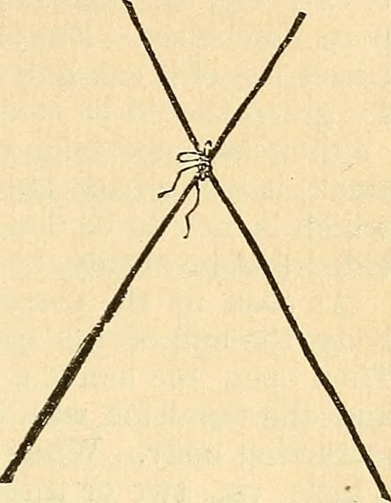 An illustration from The golden wheel dream-book and fortune-teller : being the most complete work on fortune-telling and interpreting dreams ever printed, containing an alphabetical list of dreams, with their interpretation, and the lucky numbers they signify; also explaining how to tell fortunes by the mysterious golden wheel..., 1862, leaf 144