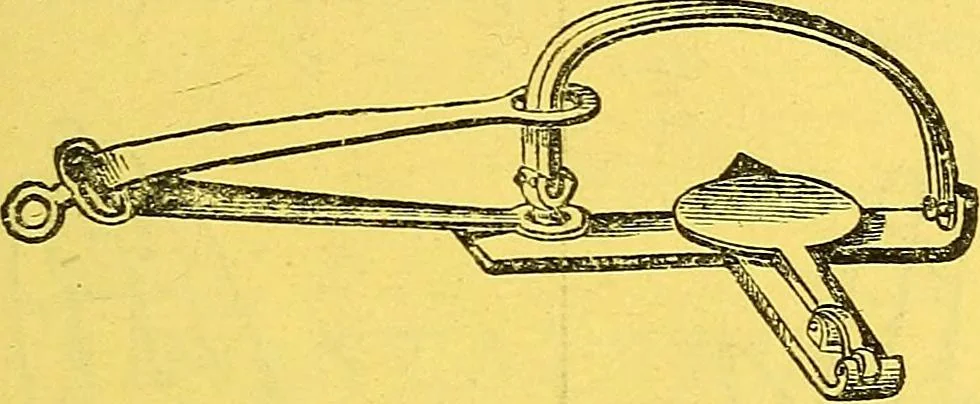 An illustration from The golden wheel dream-book and fortune-teller : being the most complete work on fortune-telling and interpreting dreams ever printed, containing an alphabetical list of dreams, with their interpretation, and the lucky numbers they signify; also explaining how to tell fortunes by the mysterious golden wheel..., 1862, leaf 4