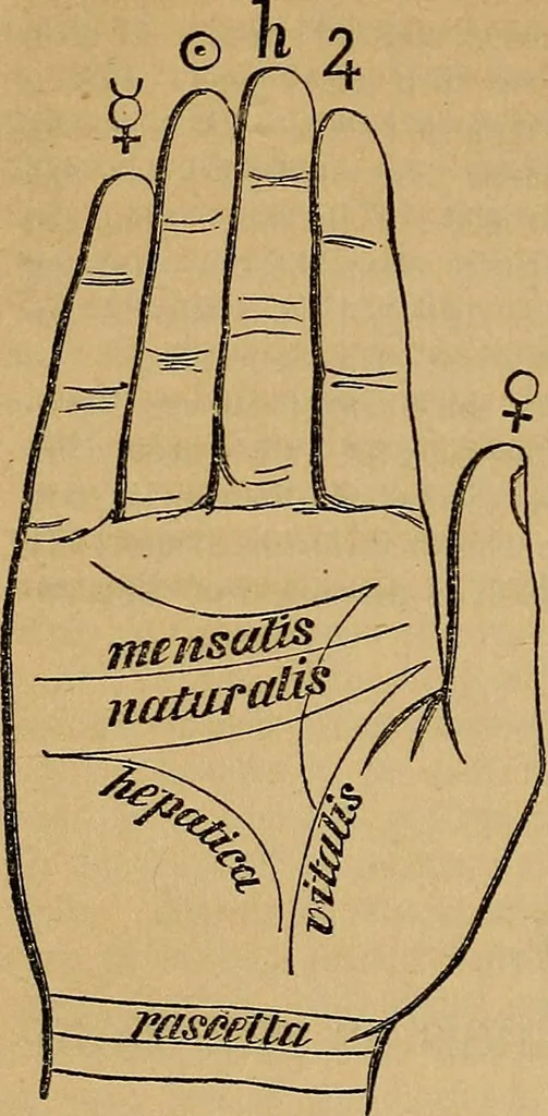 An illustration from The golden wheel dream-book and fortune-teller : being the most complete work on fortune-telling and interpreting dreams ever printed, containing an alphabetical list of dreams, with their interpretation, and the lucky numbers they signify; also explaining how to tell fortunes by the mysterious golden wheel..., 1862, leaf 119