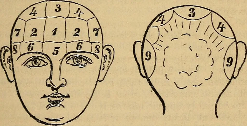 An illustration from The golden wheel dream-book and fortune-teller : being the most complete work on fortune-telling and interpreting dreams ever printed, containing an alphabetical list of dreams, with their interpretation, and the lucky numbers they signify; also explaining how to tell fortunes by the mysterious golden wheel..., 1862, leaf 120