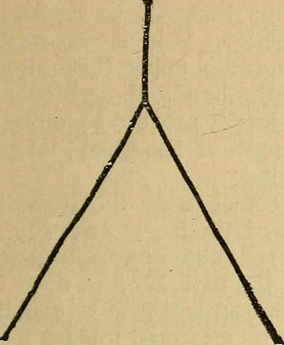 An illustration from The golden wheel dream-book and fortune-teller : being the most complete work on fortune-telling and interpreting dreams ever printed, containing an alphabetical list of dreams, with their interpretation, and the lucky numbers they signify; also explaining how to tell fortunes by the mysterious golden wheel..., 1862, leaf 144