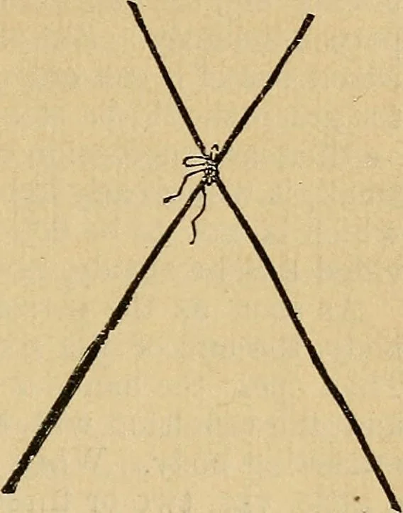 An illustration from The golden wheel dream-book and fortune-teller : being the most complete work on fortune-telling and interpreting dreams ever printed, containing an alphabetical list of dreams, with their interpretation, and the lucky numbers they signify; also explaining how to tell fortunes by the mysterious golden wheel..., 1862, leaf 144