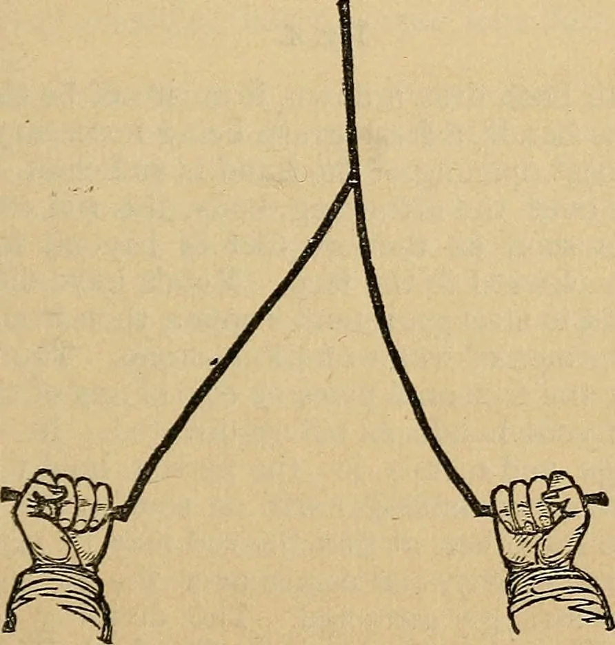 An illustration from The golden wheel dream-book and fortune-teller : being the most complete work on fortune-telling and interpreting dreams ever printed, containing an alphabetical list of dreams, with their interpretation, and the lucky numbers they signify; also explaining how to tell fortunes by the mysterious golden wheel..., 1862, leaf 144