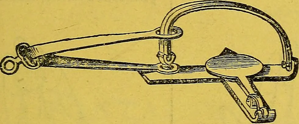 An illustration from The golden wheel dream-book and fortune-teller : being the most complete work on fortune-telling and interpreting dreams ever printed, containing an alphabetical list of dreams, with their interpretation, and the lucky numbers they signify; also explaining how to tell fortunes by the mysterious golden wheel..., 1862, leaf 4