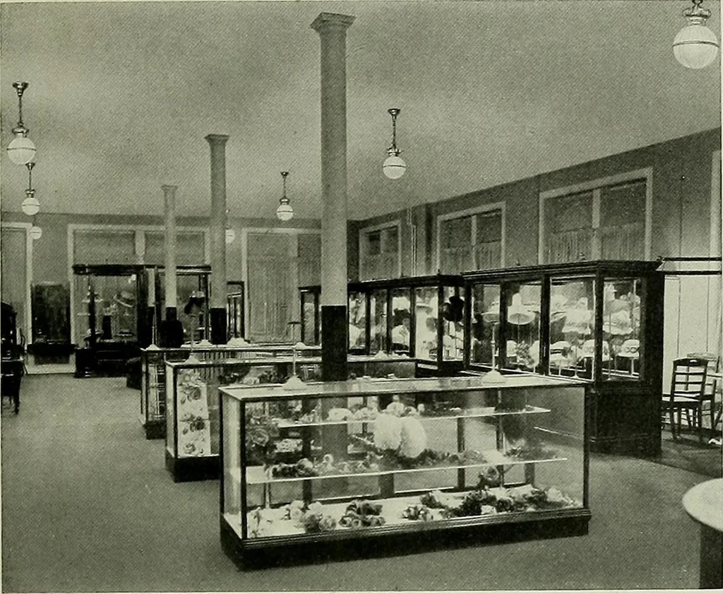 An illustration from Good light : what it is and does, what it means for the home, what it means in business, what it costs and how to get it, 1913, leaf 19