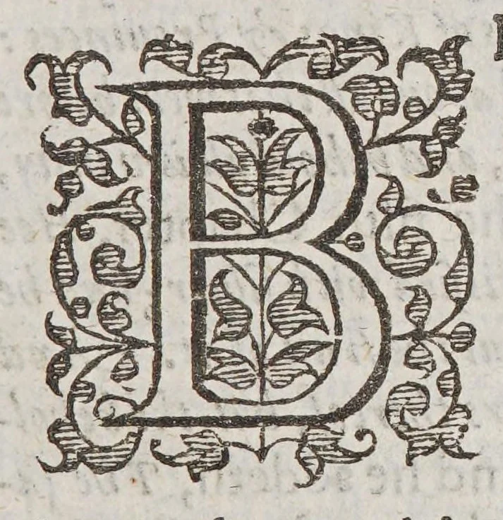 An illustration from Good newes from Virginia. : Sent to the Counsell and Company of Virginia, resident in England. From Alexander Whitaker, the Minister of Henrico in Virginia. : Wherein also is a narration of the present state of that countrey, and our colonies there., 1613, leaf 35