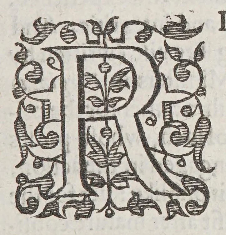 An illustration from Good newes from Virginia. : Sent to the Counsell and Company of Virginia, resident in England. From Alexander Whitaker, the Minister of Henrico in Virginia. : Wherein also is a narration of the present state of that countrey, and our colonies there., 1613, leaf 9