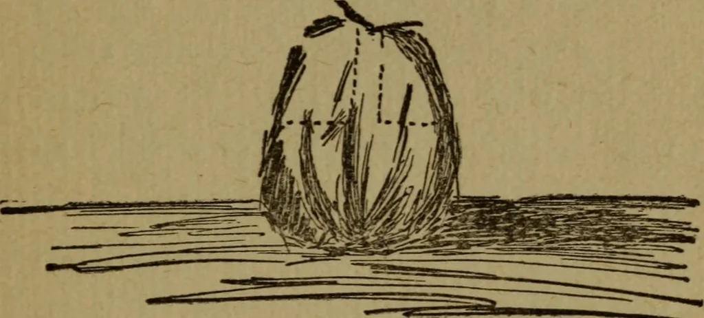 An illustration from Good times with the juniors, 1904, leaf 131
