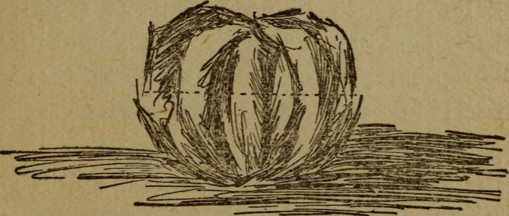 An illustration from Good times with the juniors, 1904, leaf 131