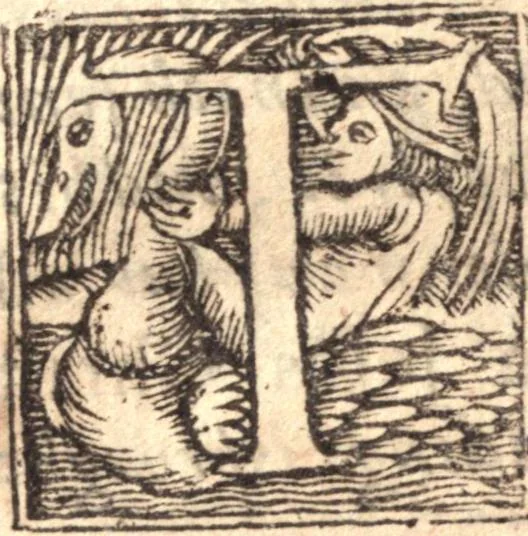 An illustration from Gospel-libertie, in the extensions [and] limitations of it. Wherein is laid down an exact way to end the present dissentions, and to preserve future peace among the saints. VVhereunto is added good newes from Heaven, to the worst of sinners on earth. The former in nine sermons on I Cor. 10. 23 ... The latter in three sermons on Luke 2. 10, 1648, leaf 218