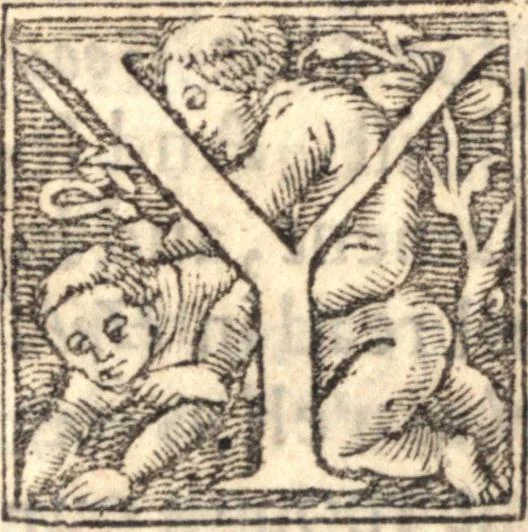 An illustration from Gospel-libertie, in the extensions [and] limitations of it. Wherein is laid down an exact way to end the present dissentions, and to preserve future peace among the saints. VVhereunto is added good newes from Heaven, to the worst of sinners on earth. The former in nine sermons on I Cor. 10. 23 ... The latter in three sermons on Luke 2. 10, 1648, leaf 220
