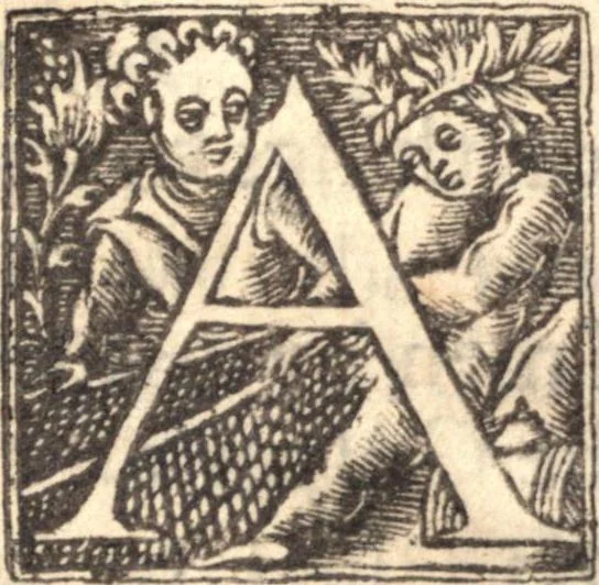 An illustration from Gospel-libertie, in the extensions [and] limitations of it. Wherein is laid down an exact way to end the present dissentions, and to preserve future peace among the saints. VVhereunto is added good newes from Heaven, to the worst of sinners on earth. The former in nine sermons on I Cor. 10. 23 ... The latter in three sermons on Luke 2. 10, 1648, leaf 276