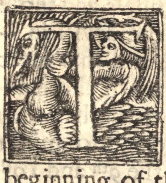 An illustration from Gospel-libertie, in the extensions [and] limitations of it. Wherein is laid down an exact way to end the present dissentions, and to preserve future peace among the saints. VVhereunto is added good newes from Heaven, to the worst of sinners on earth. The former in nine sermons on I Cor. 10. 23 ... The latter in three sermons on Luke 2. 10, 1648, leaf 38