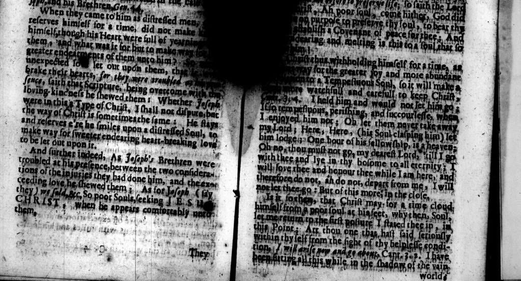 An illustration from The [G]ospel nevv-creature; wherein the work of the spirit is opened, in awakening the soul, to the getting pardon of sin, and an interest in Jesus Christ ... Whereunto is added ... The tempestuous soul calmed by Jesus Christ, 1659, leaf 162