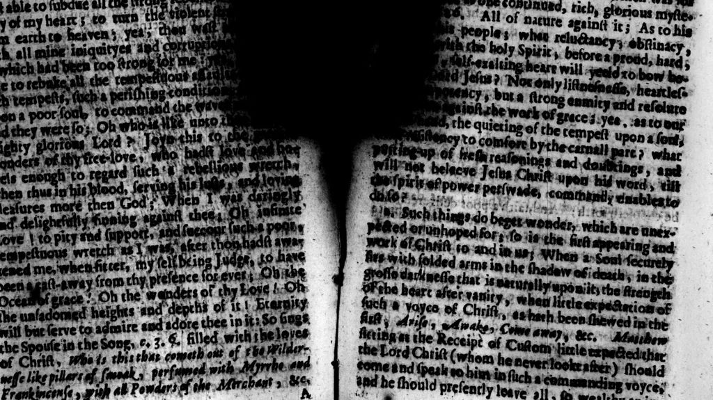 An illustration from The [G]ospel nevv-creature; wherein the work of the spirit is opened, in awakening the soul, to the getting pardon of sin, and an interest in Jesus Christ ... Whereunto is added ... The tempestuous soul calmed by Jesus Christ, 1659, leaf 179