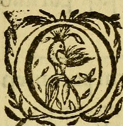 An illustration from The gospels of the fower Euangelistes : translated in the olde Saxons tyme out of Latin in the vulgare toung of the Saxons, newly collected out of auncient monumentes of the sayd Saxons, and now published for testimonie of the same, 1571, leaf 288