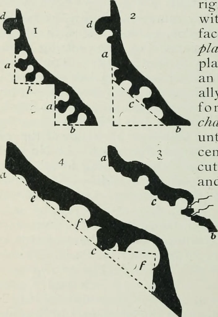 An illustration from Gothic architecture in England and France, 1911, leaf 158