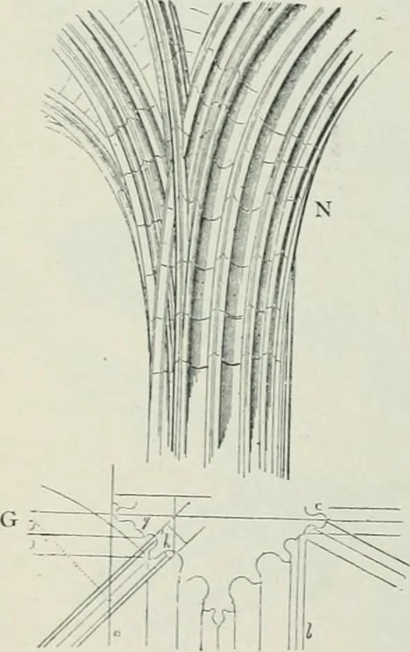 An illustration from Gothic architecture in England and France, 1911, leaf 160
