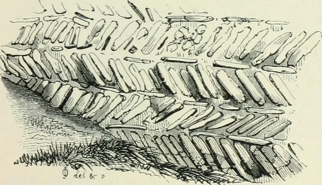 An illustration from Gothic architecture in England and France, 1911, leaf 209
