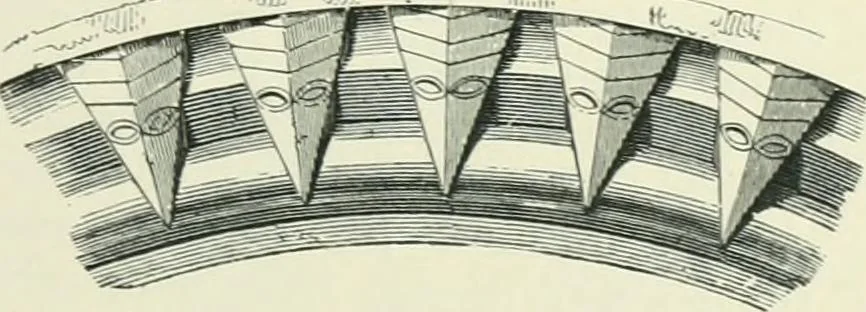An illustration from Gothic architecture in England and France, 1911, leaf 251