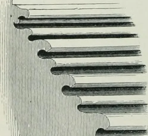 An illustration from Gothic architecture in England and France, 1911, leaf 286