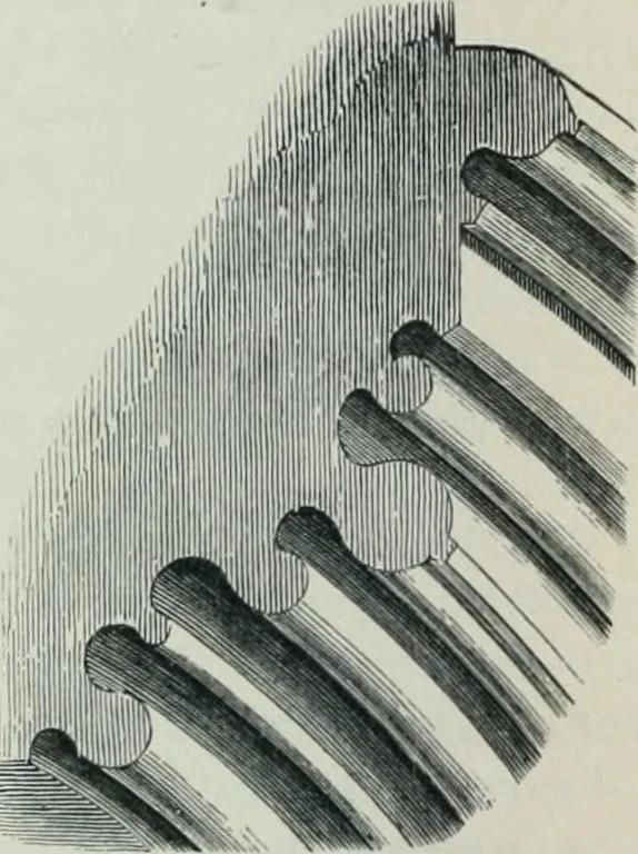 An illustration from Gothic architecture in England and France, 1911, leaf 286