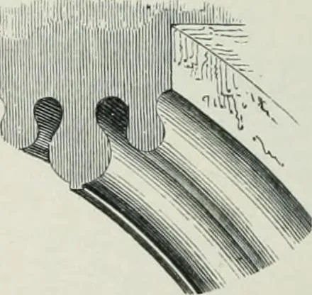 An illustration from Gothic architecture in England and France, 1911, leaf 288