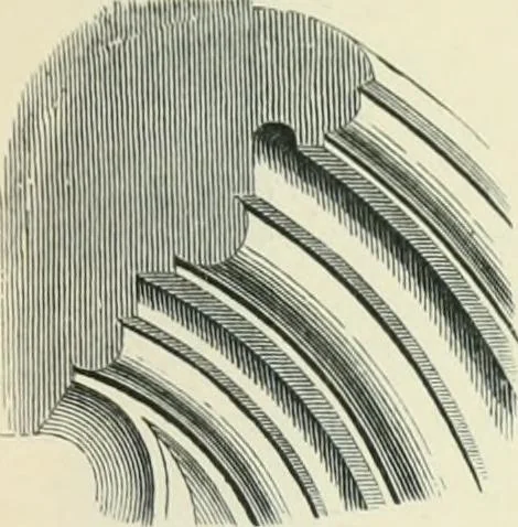 An illustration from Gothic architecture in England and France, 1911, leaf 313