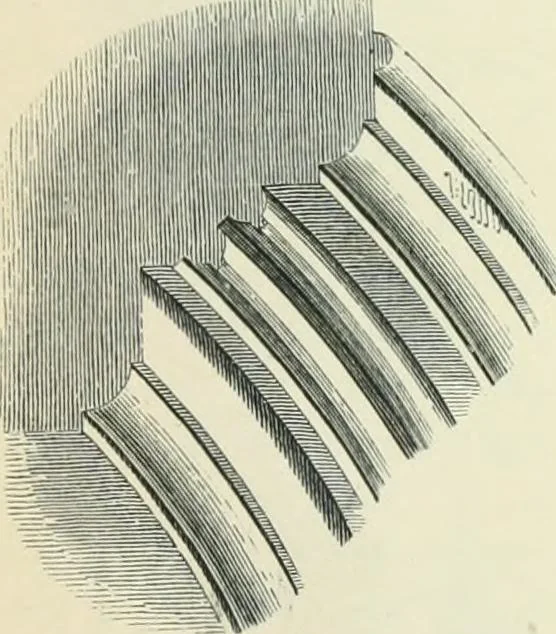 An illustration from Gothic architecture in England and France, 1911, leaf 313