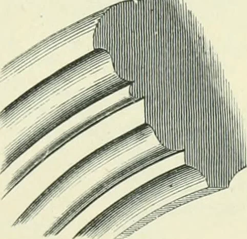 An illustration from Gothic architecture in England and France, 1911, leaf 313