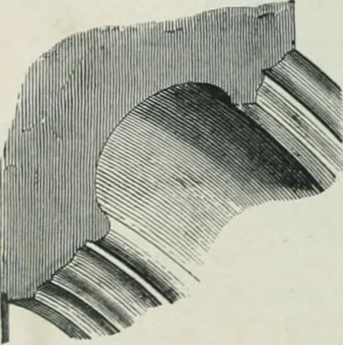 An illustration from Gothic architecture in England and France, 1911, leaf 334