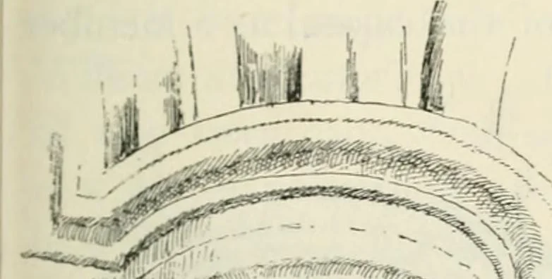 An illustration from Gothic architecture in France, England, and Italy, 1915, leaf 347