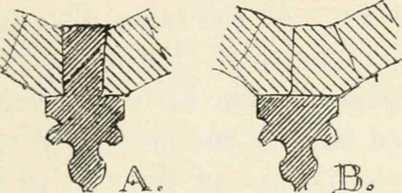 An illustration from Gothic architecture in France, England, and Italy, 1915, leaf 63