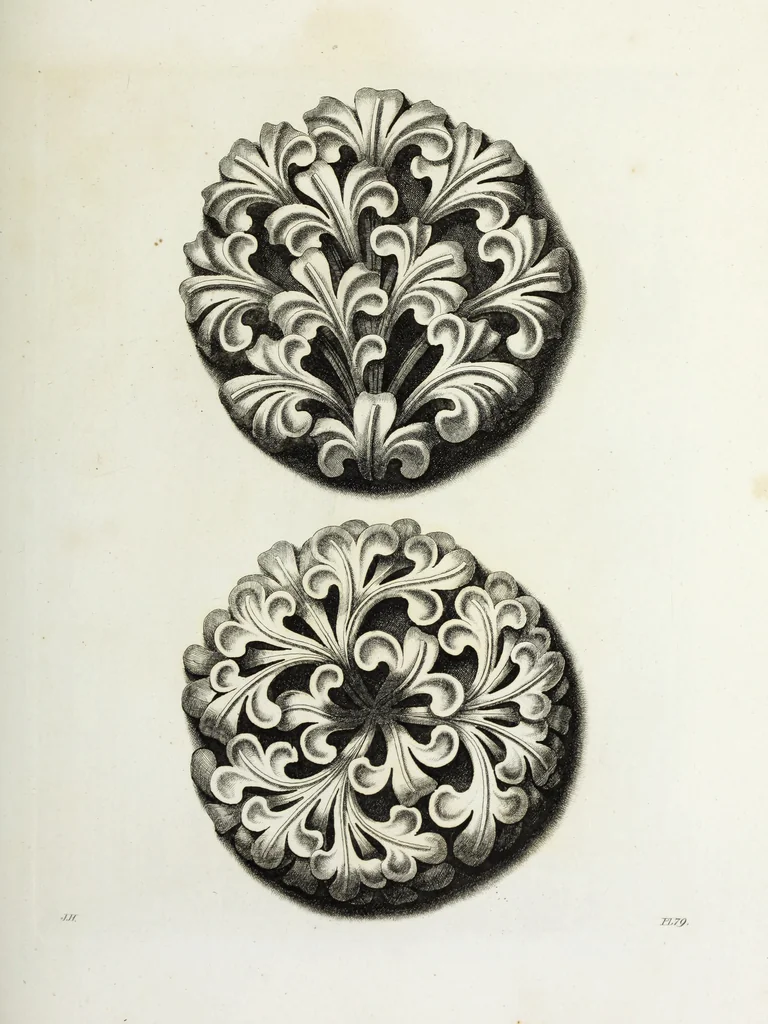 An illustration from Gothic ornaments in the cathedral church of York, 1795, leaf 172