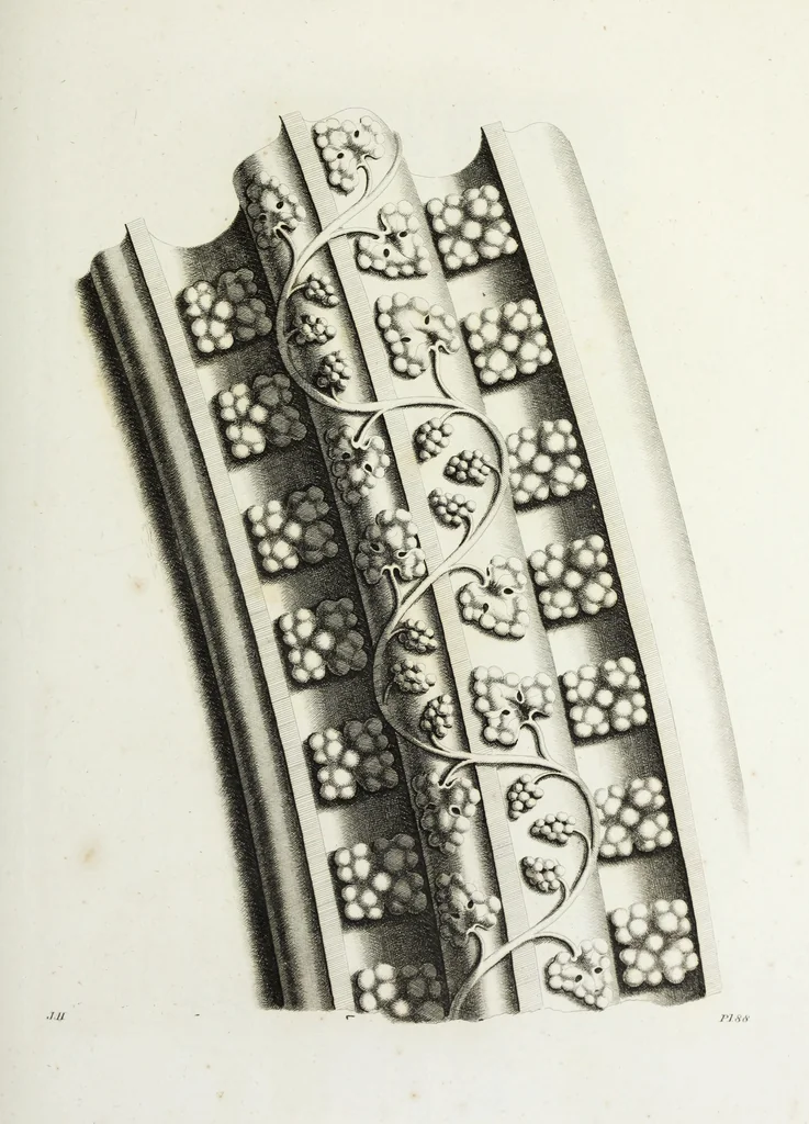 An illustration from Gothic ornaments in the cathedral church of York, 1795, leaf 190