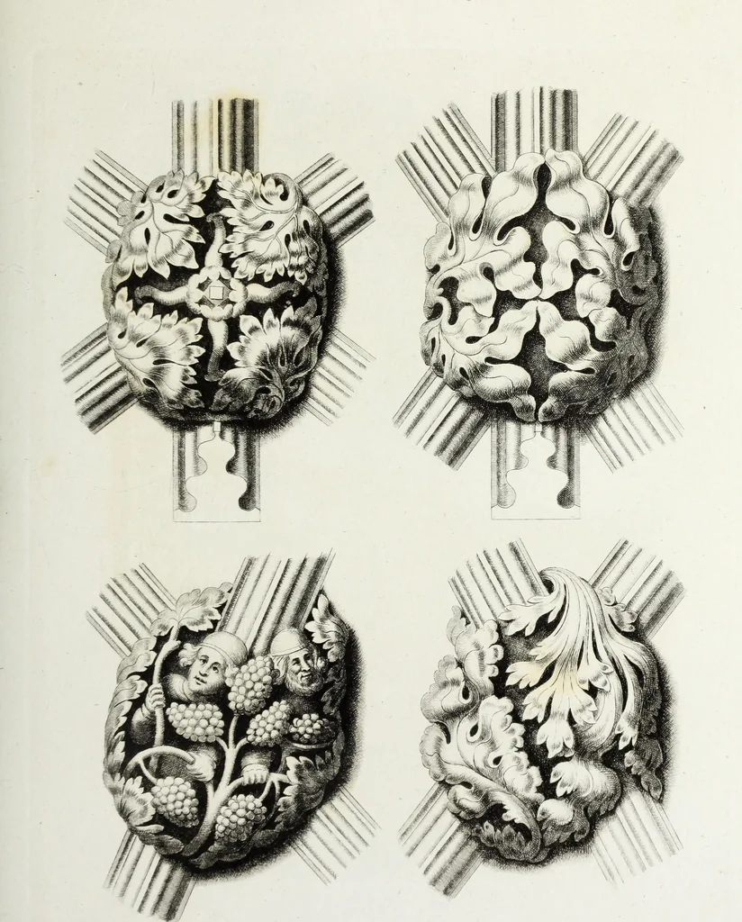 An illustration from Gothic ornaments in the cathedral church of York, 1795, leaf 78