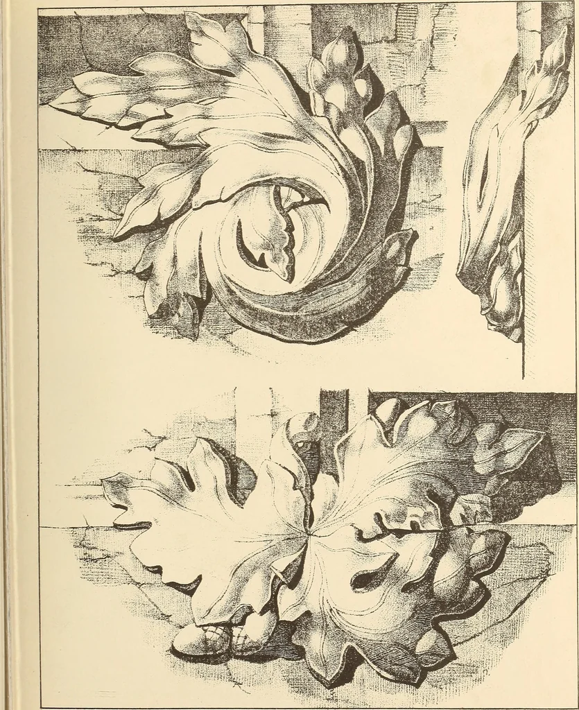 An illustration from Gothic ornaments, selected from various ancient buildings in England and France : exhibiting numerous specimens of every description of decorative detail, from the XIth. to the beginning of the XVIth. cent., 1900, leaf 123
