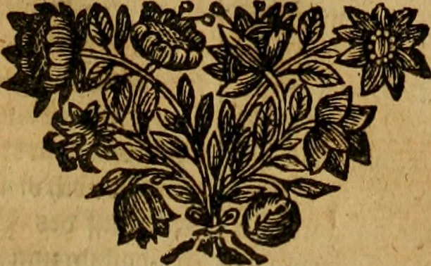 An illustration from Gottfrid Arnolds Unparteyische Kirchen- und Ketzer-Historie : von Anfang des Neuen Testaments biss auff das Jahr Christi 1688, 1700, leaf 306