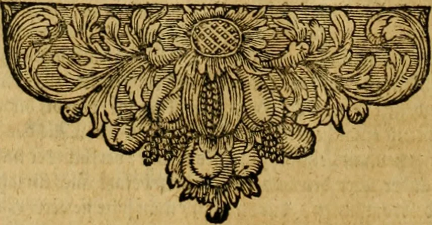 An illustration from Gottfrid Arnolds Unparteyische Kirchen- und Ketzer-Historie : von Anfang des Neuen Testaments biss auff das Jahr Christi 1688, 1700, leaf 319