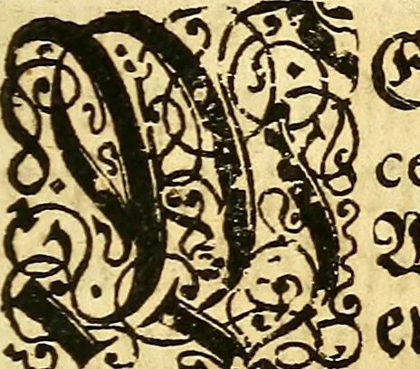 An illustration from Gottorffische Kunst-Kammer : worinnen allerhand ungemeine Sachen, so theils die Natur, theils künstliche Hände hervor gebracht und bereitet : vor diesem aus allen vier Theilen der Welt zusammen getragen, und vor einigen Jahren beschrieben, auch mit behörigen Kupffern gezieret, 1674, leaf 12