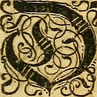 An illustration from Gottorffische Kunst-Kammer : worinnen allerhand ungemeine Sachen, so theils die Natur, theils künstliche Hände hervor gebracht und bereitet : vor diesem aus allen vier Theilen der Welt zusammen getragen, und vor einigen Jahren beschrieben, auch mit behörigen Kupffern gezieret, 1674, leaf 20